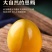 溏心变蛋，无铅松花蛋，鸡皮蛋，精品变蛋