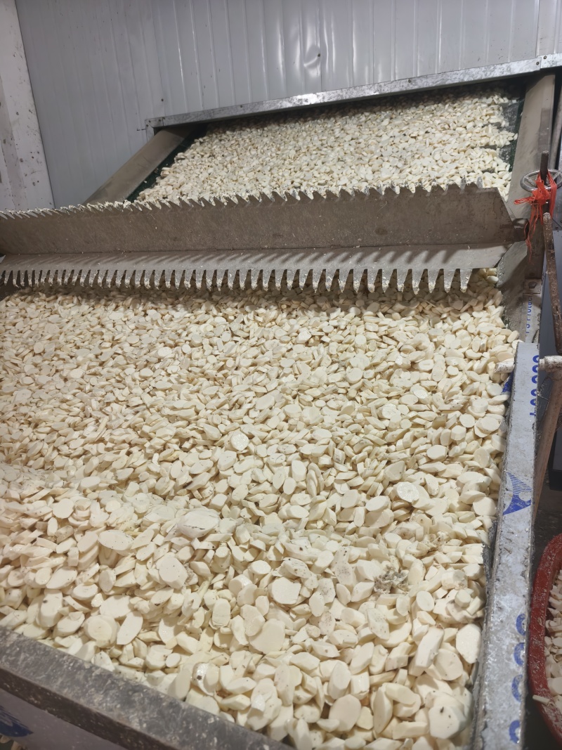 焦作精品垆土铁棍山药片工厂直发欢迎进店咨询