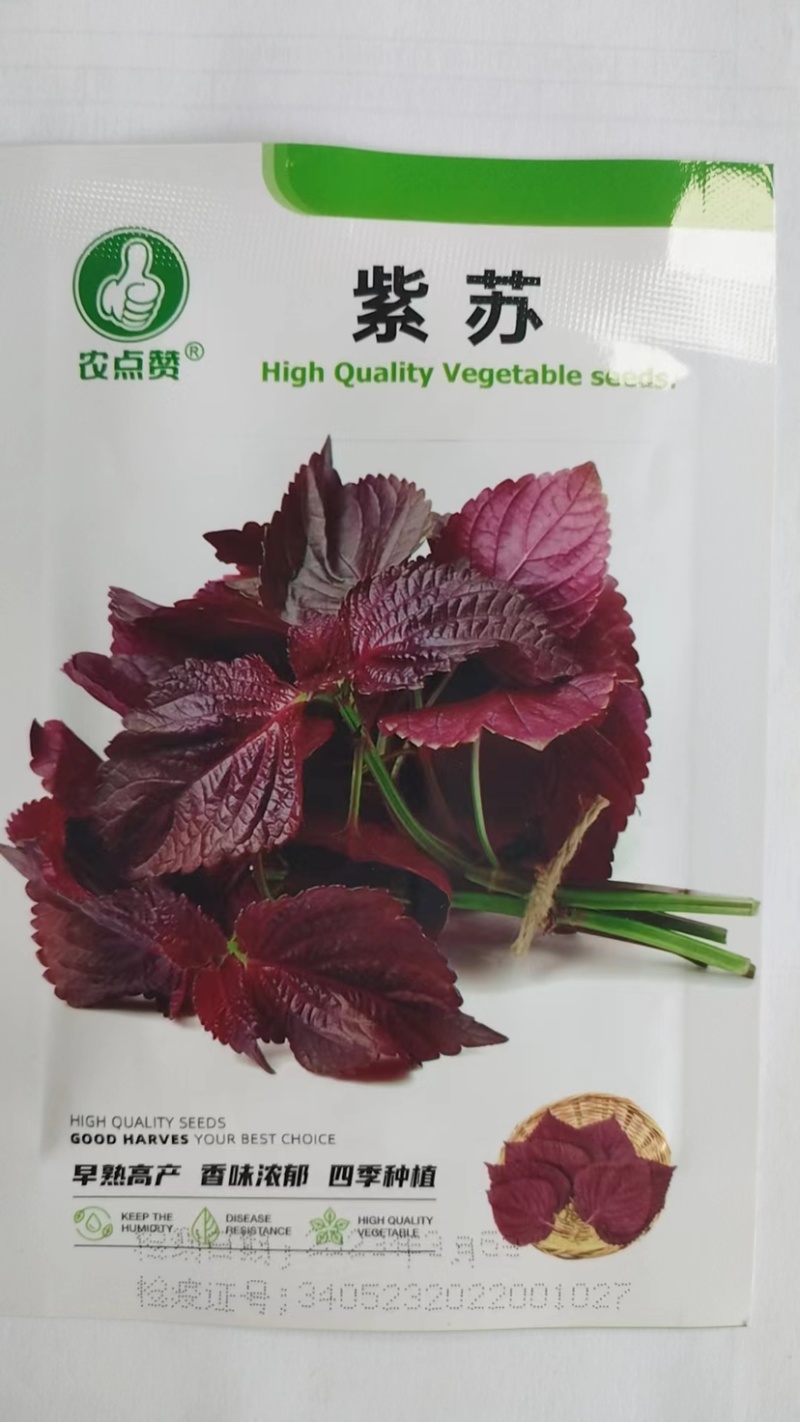 紫苏菜种子-容易栽培多次采收香味浓郁四季可播
