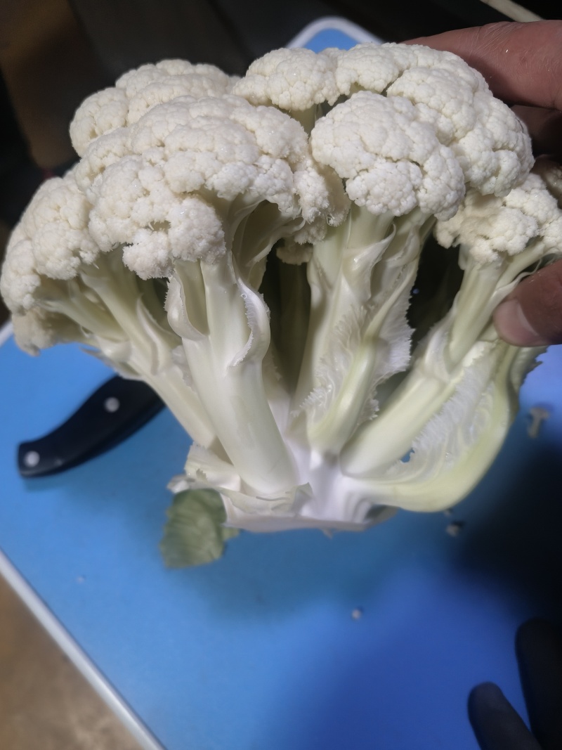 徐州万亩花菜基地，持续上货中，保质量可视频看货，代发全国
