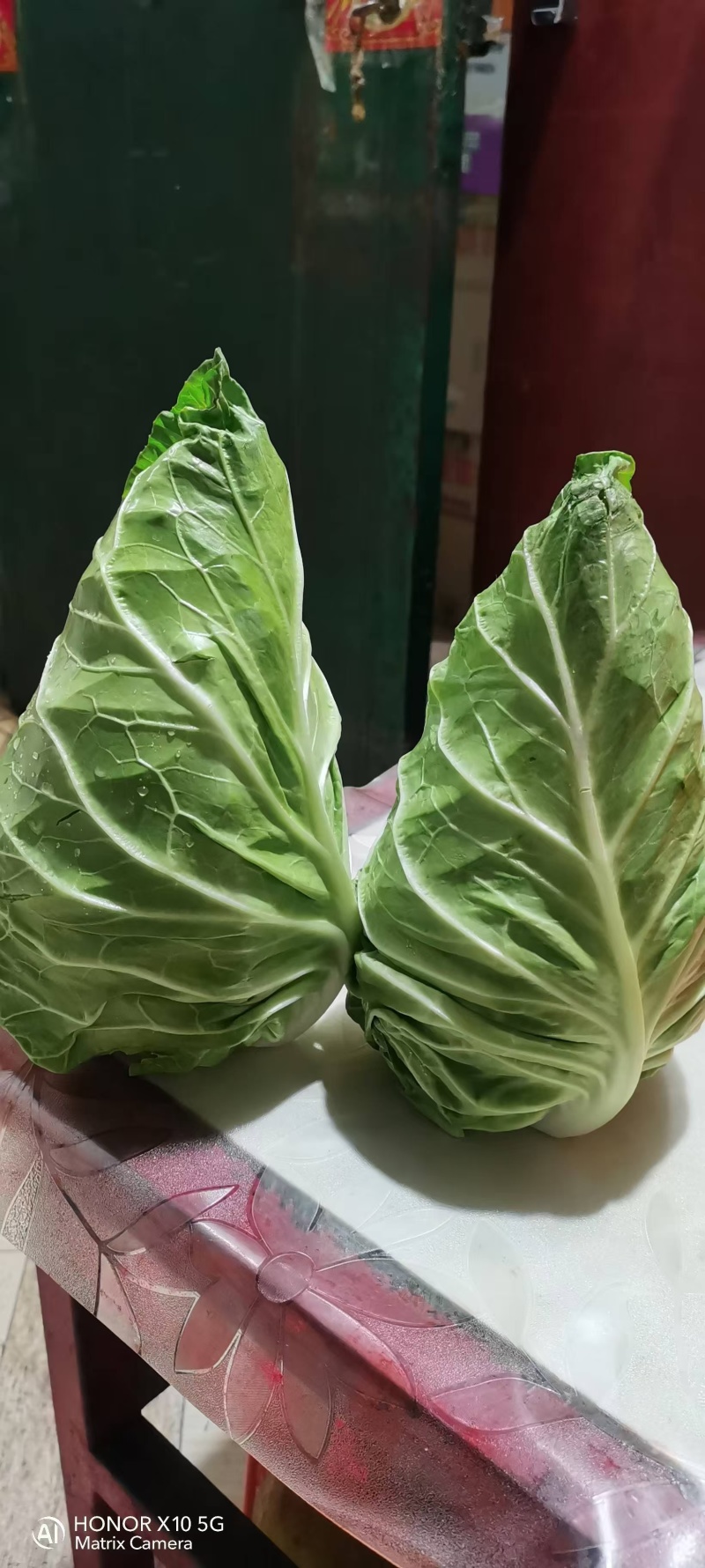 牛心菜