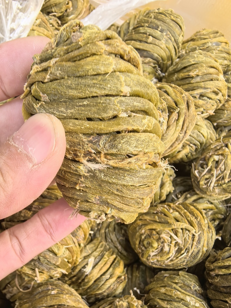 珍虫石斛