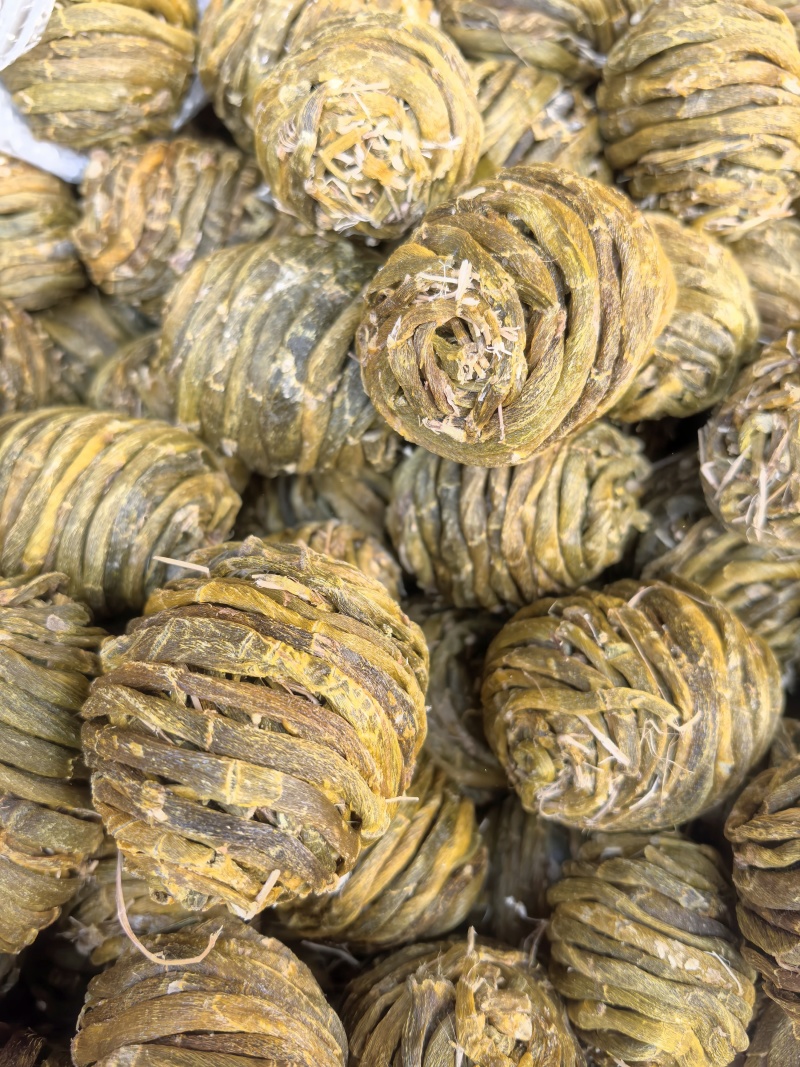 珍虫石斛