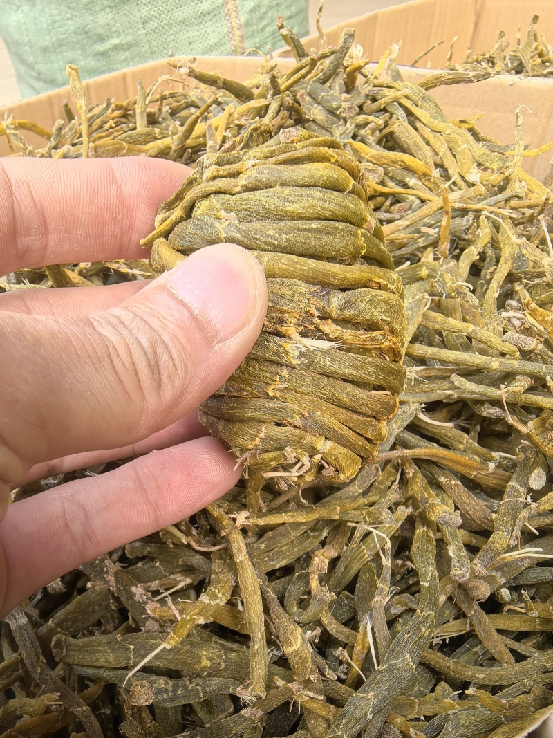 珍虫石斛