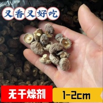 香菇干货肉厚小香菇珍珠菇煲汤烤串滋补食材金钱小香菇批发