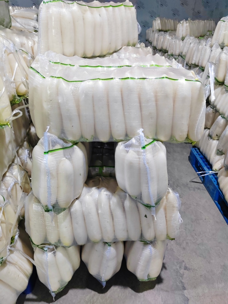 水洗白萝卜散装打包有冷库，一次合作终身朋友