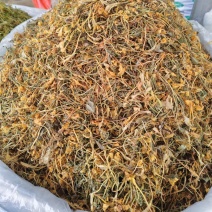 山银花