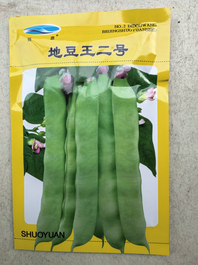 地豆王种子早熟矮生不搭架无蔓芸豆四季豆角籽春秋季菜园蔬菜