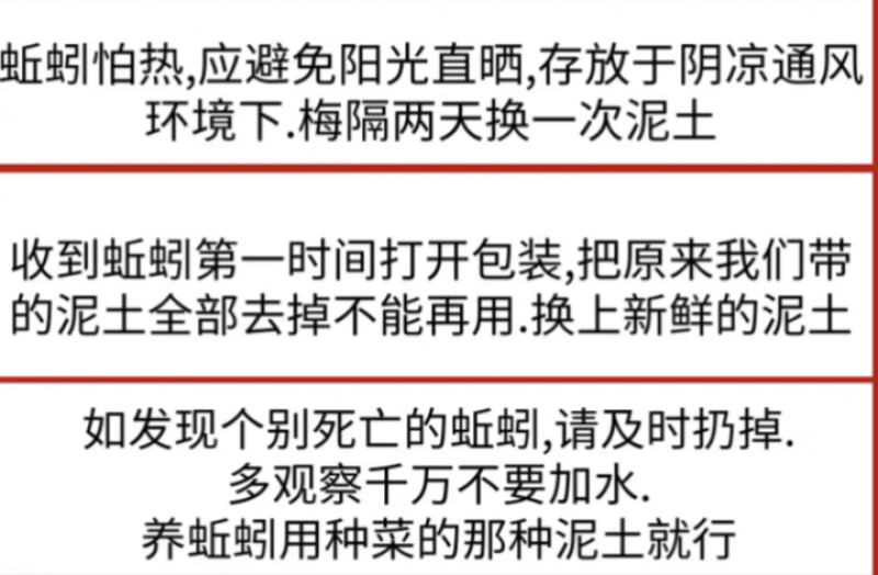 鲜活黑蚯蚓钓黄鳝青蚯蚓特大臭蚯蚓地龙活体蚯蚓野钓钓鱼鱼饵