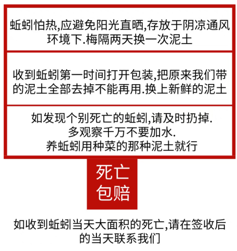 鲜活黑蚯蚓钓黄鳝青蚯蚓特大臭蚯蚓地龙活体蚯蚓野钓钓鱼鱼饵