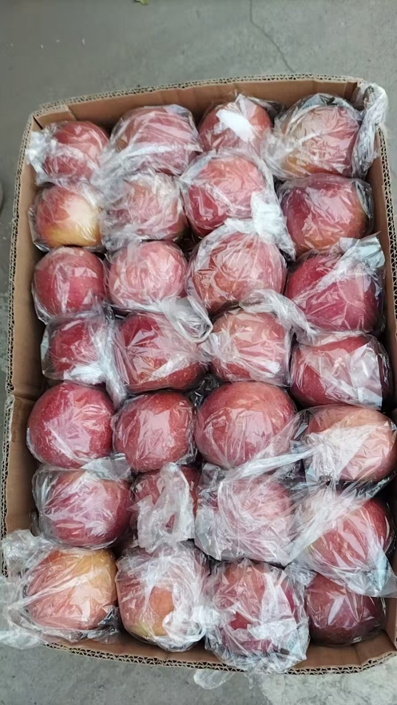 大量供应红星苹果产地直发对接电商市场商超