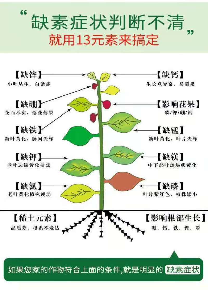 十三元素水溶肥，全营养，高吸收，纠正缺素的叶面喷施肥