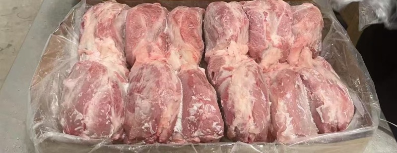 母猪龟健