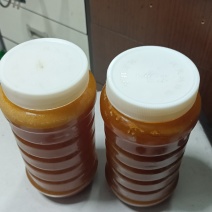 土蜂蜜