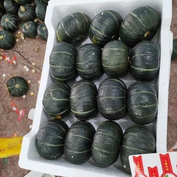 优质贝贝南瓜，出口品质，口感绵密，精品老瓜，爆甜爆粉贝贝