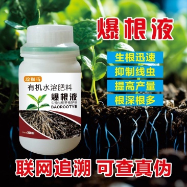 爆根叶有机水溶肥料快速生根壮秧护苗瓜果蔬菜通用肥料