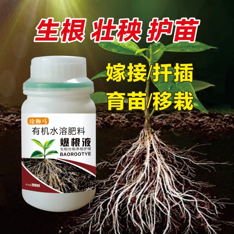 爆根叶有机水溶肥料快速生根壮秧护苗瓜果蔬菜通用肥料