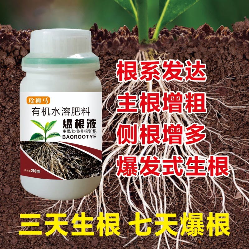 爆根叶有机水溶肥料快速生根壮秧护苗瓜果蔬菜通用肥料
