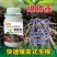 爆根叶有机水溶肥料快速生根壮秧护苗瓜果蔬菜通用肥料