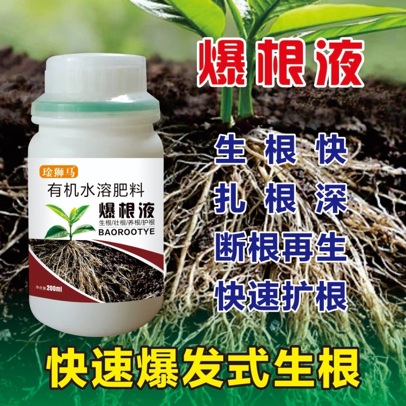 爆根叶有机水溶肥料快速生根壮秧护苗瓜果蔬菜通用肥料