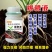 爆根叶有机水溶肥料快速生根壮秧护苗瓜果蔬菜通用肥料