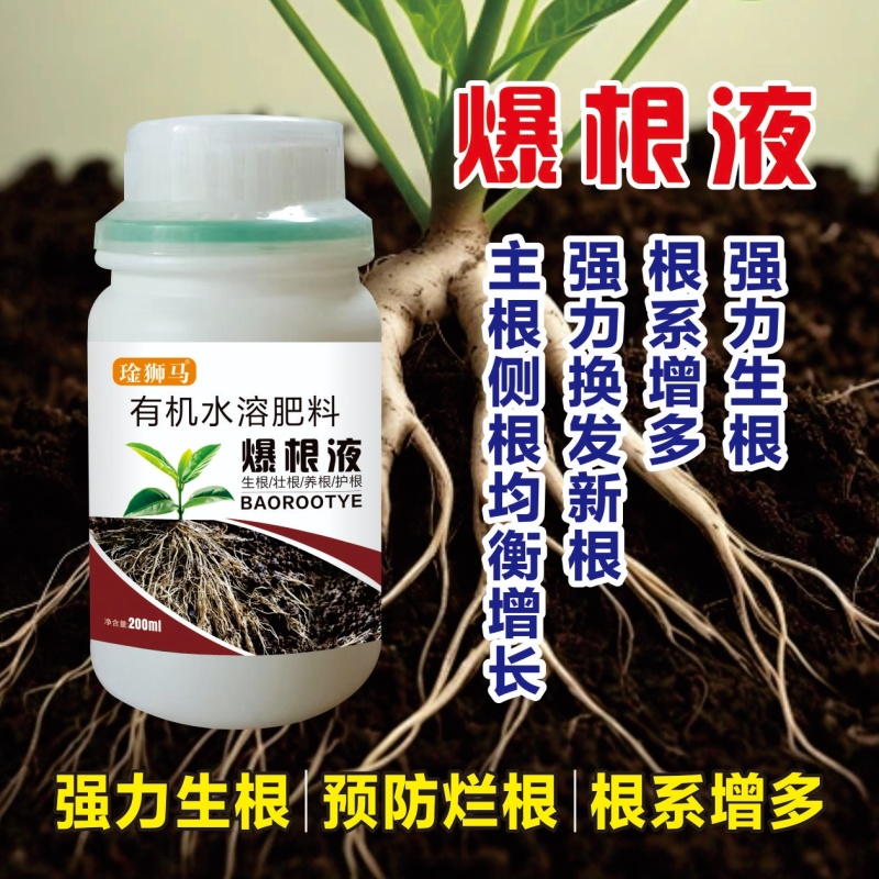 爆根叶有机水溶肥料快速生根壮秧护苗瓜果蔬菜通用肥料
