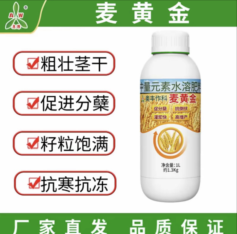 奥丰麦黄金抗寒抗冻籽粒饱满粗壮茎杆正品保证