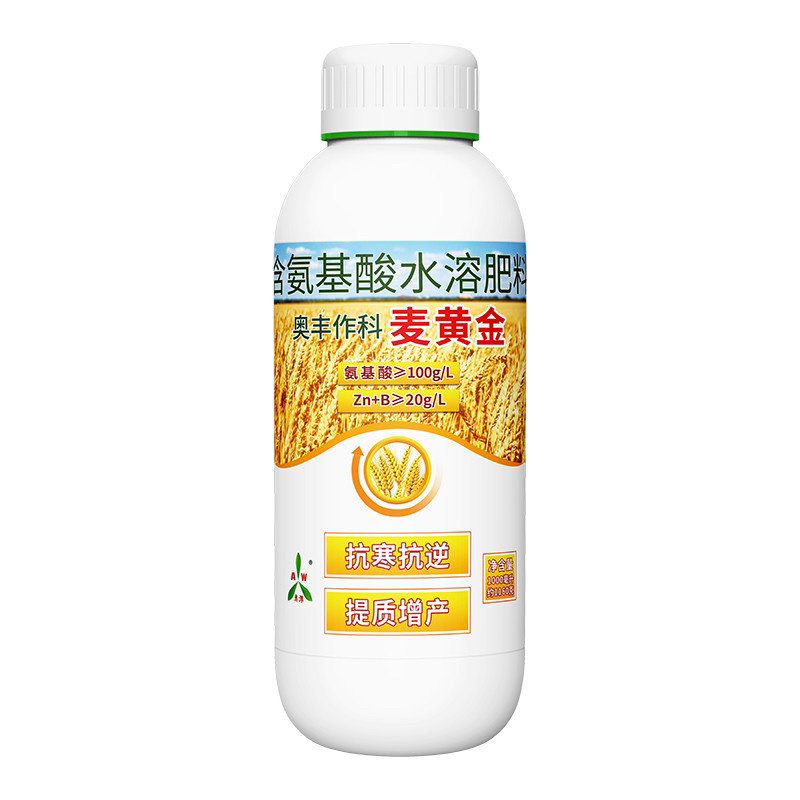奥丰麦黄金抗寒抗冻籽粒饱满粗壮茎杆正品保证