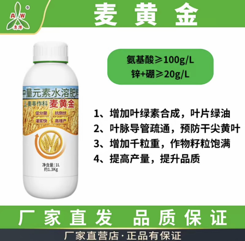 奥丰麦黄金抗寒抗冻籽粒饱满粗壮茎杆正品保证
