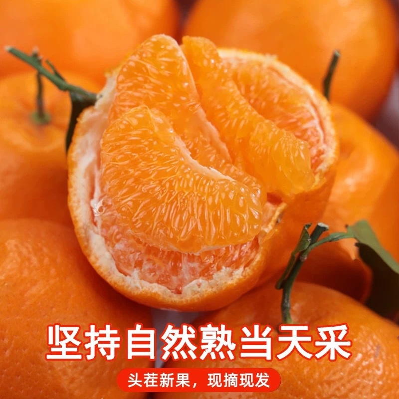 粑粑柑新鲜柑橘现货商超社区团购电商5斤9斤一件代发