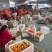 粑粑柑新鲜柑橘现货商超社区团购电商5斤9斤一件代发