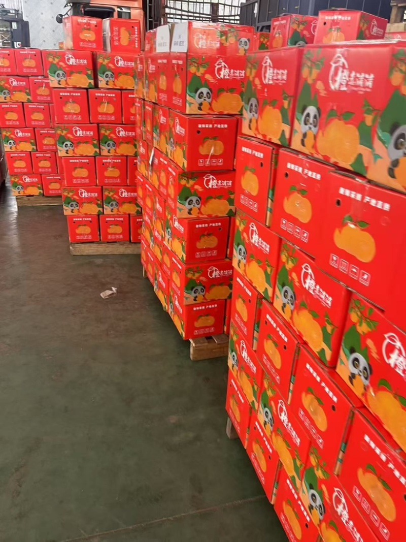 粑粑柑新鲜柑橘现货商超社区团购电商5斤9斤一件代发