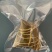 真空包装嘉兴风味粽子厂家甜粽素粽红枣粽端午粽子礼盒批发