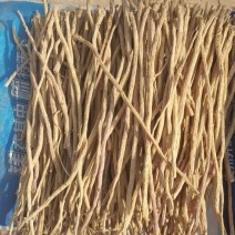 精品防风微甜口*地摊*地推*跑江湖去杂质去芦头去土去沫子