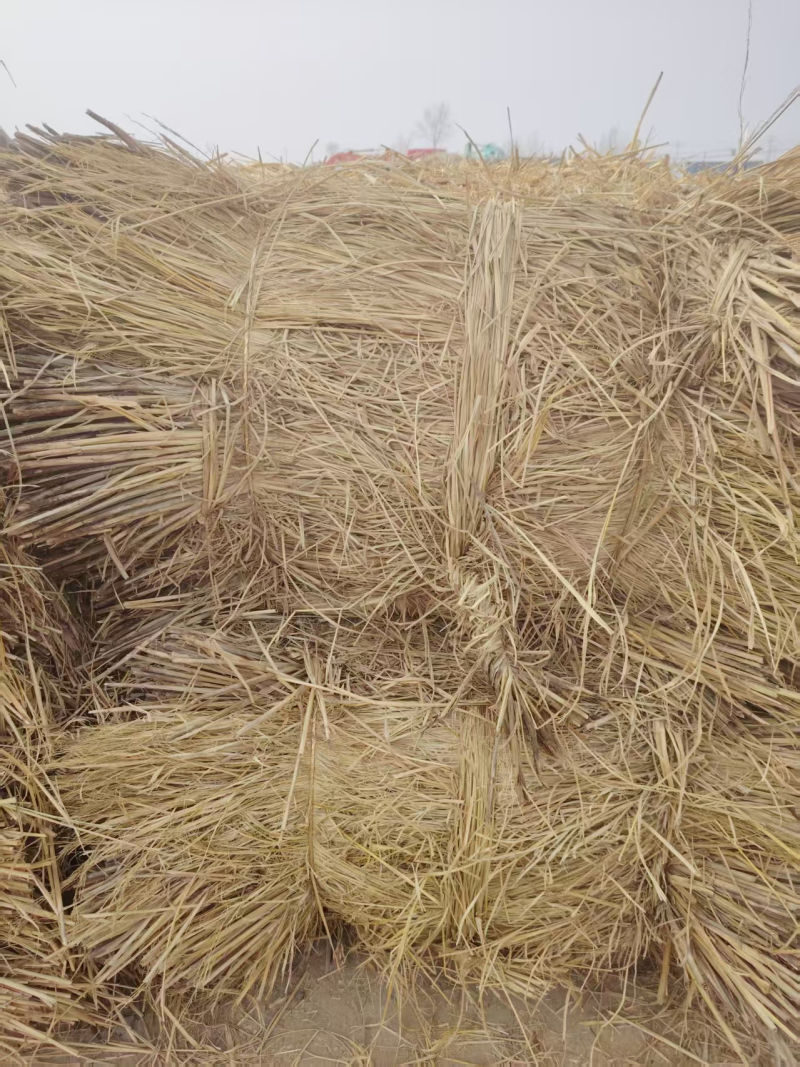 稻草秸秆类原材料产地直发大量有货整车发
