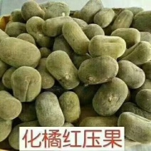 化州橘红