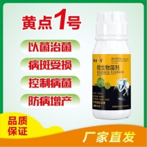 黄点1号微生物菌剂快速控制病菌防治黑斑病黄点病肥料