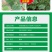 黄点1号微生物菌剂快速控制病菌防治黑斑病黄点病肥料