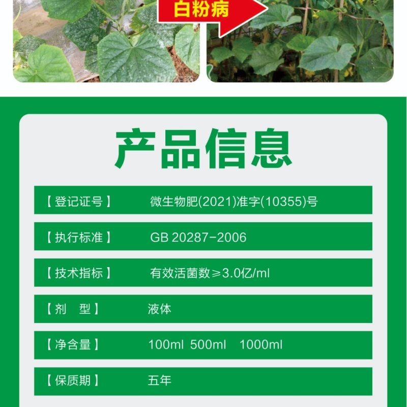 黄点1号微生物菌剂快速控制病菌防治黑斑病黄点病肥料