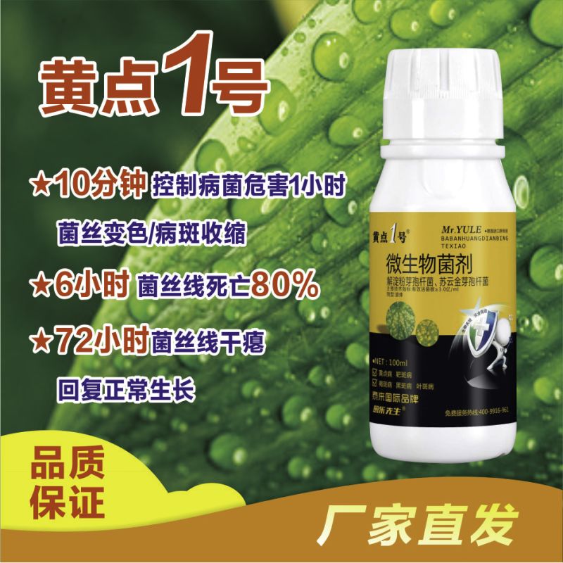 黄点1号微生物菌剂快速控制病菌防治黑斑病黄点病肥料