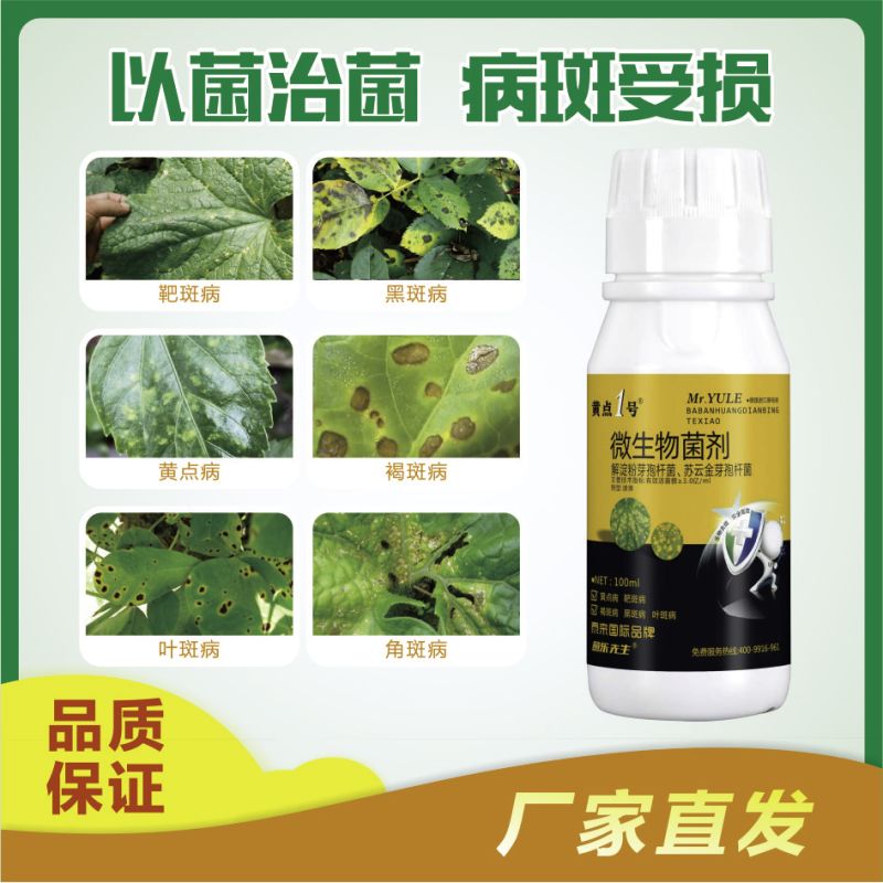 黄点1号微生物菌剂快速控制病菌防治黑斑病黄点病肥料