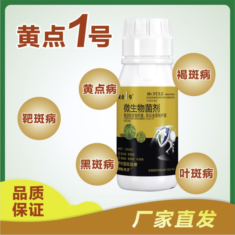 黄点1号微生物菌剂快速控制病菌防治黑斑病黄点病肥料