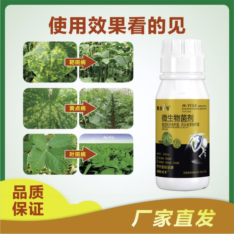 黄点1号微生物菌剂快速控制病菌防治黑斑病黄点病肥料