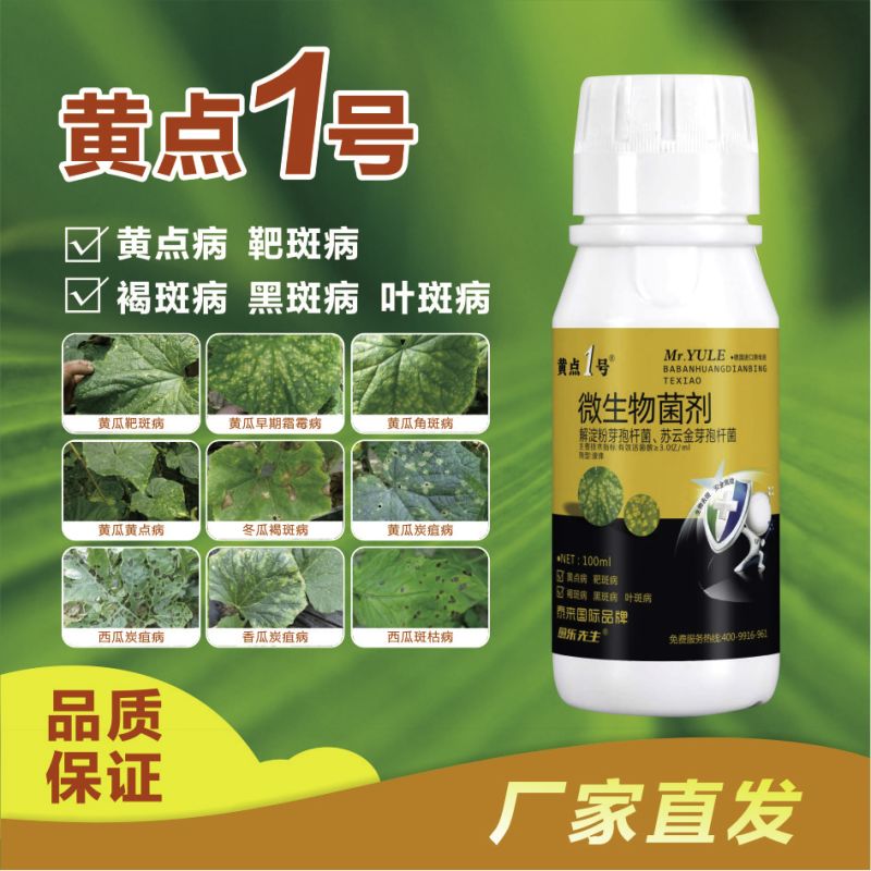 黄点1号微生物菌剂快速控制病菌防治黑斑病黄点病肥料