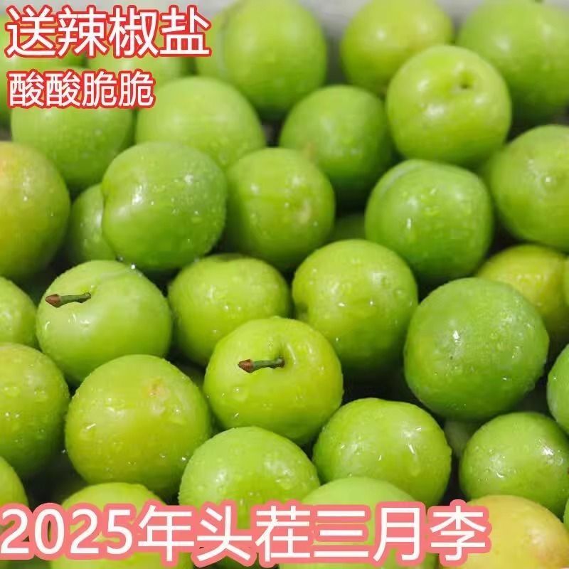 正宗三月李子应季新鲜水果孕妇酸李子青李子珍珠李子整箱