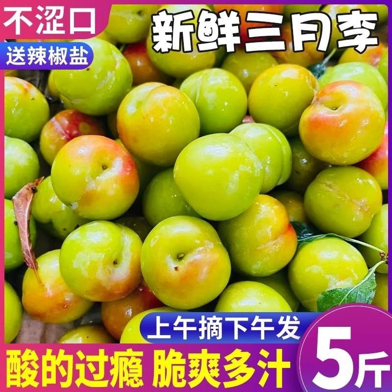 正宗三月李子应季新鲜水果孕妇酸李子青李子珍珠李子整箱
