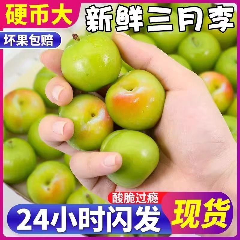 正宗三月李子应季新鲜水果孕妇酸李子青李子珍珠李子整箱