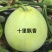 大果日本甜宝早熟圆果型糖度17开花后35天成熟500克