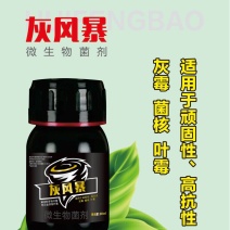 灰风暴微生物菌剂防治灰霉菌核叶霉以菌抑菌提高抗性