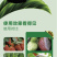 灰风暴微生物菌剂防治灰霉菌核叶霉以菌抑菌提高抗性